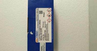 Telecentryczny projekt dla optycznej endomikroskopii skrawającej HiLo opartej na skanowaniu cyfrowym
